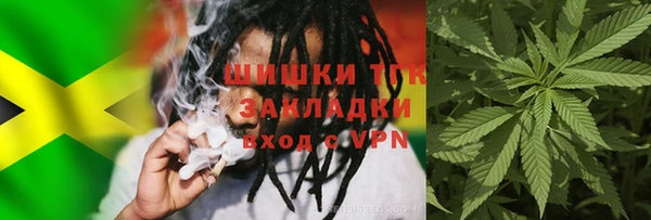 хмурый Михайловск
