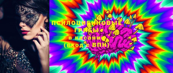 хмурый Михайловск
