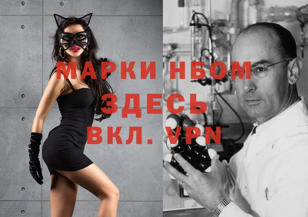 хмурый Михайловск