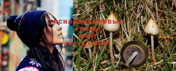 дурь Михайловка