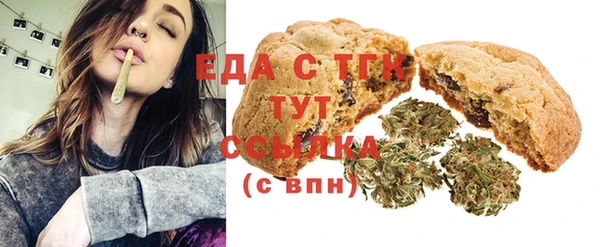 гашик Медногорск