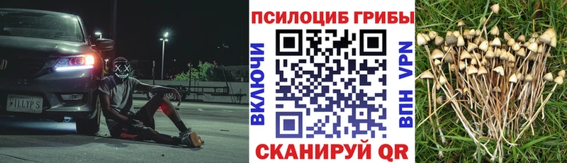 Галлюциногенные грибы Magic Shrooms  Шарья 